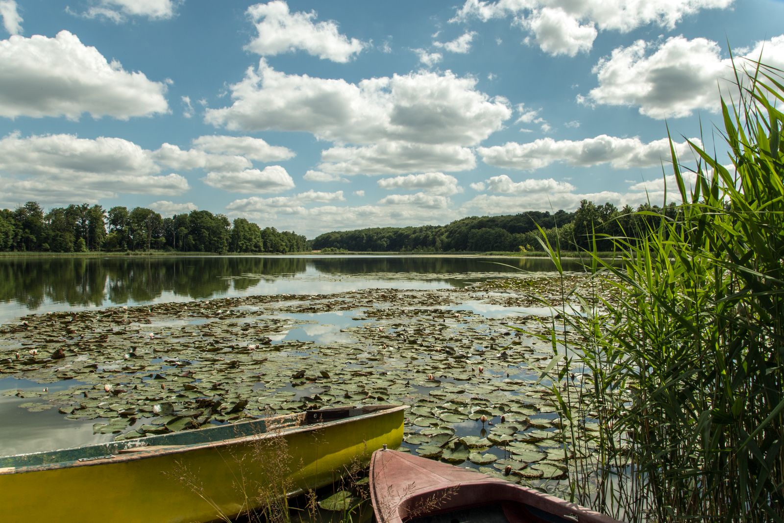 Densowsee bei Annenwalde